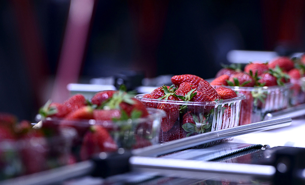 Staff injury and illness can be impossible to foresee